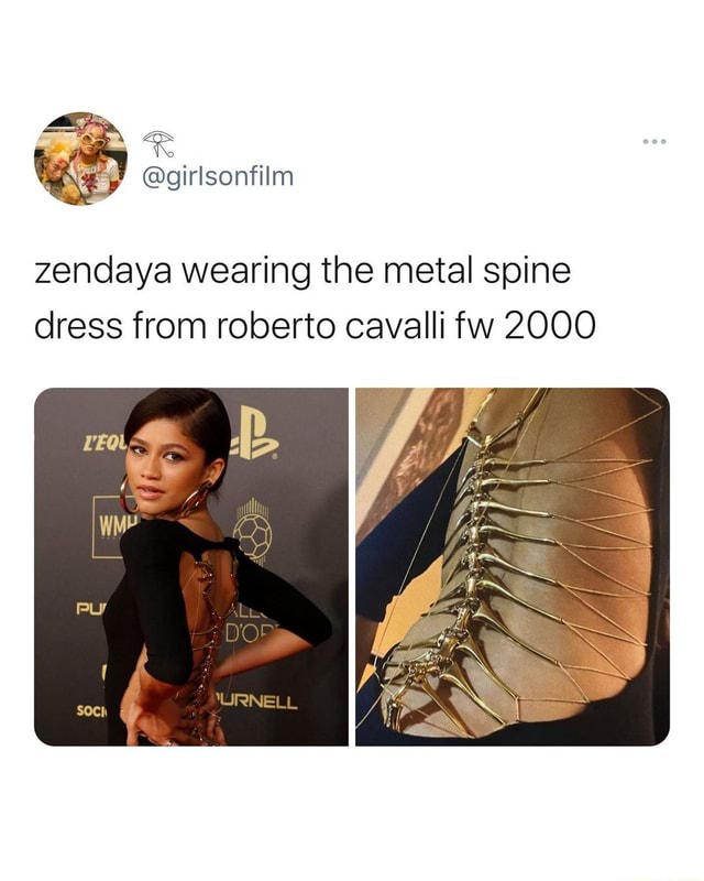 Metal Spine Dress The @roberto_cavalli's Metal Spine Dress From  Fall/Winter 2000