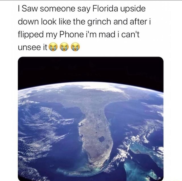 I Saw someone say Florida upside down look like the grinch and after i