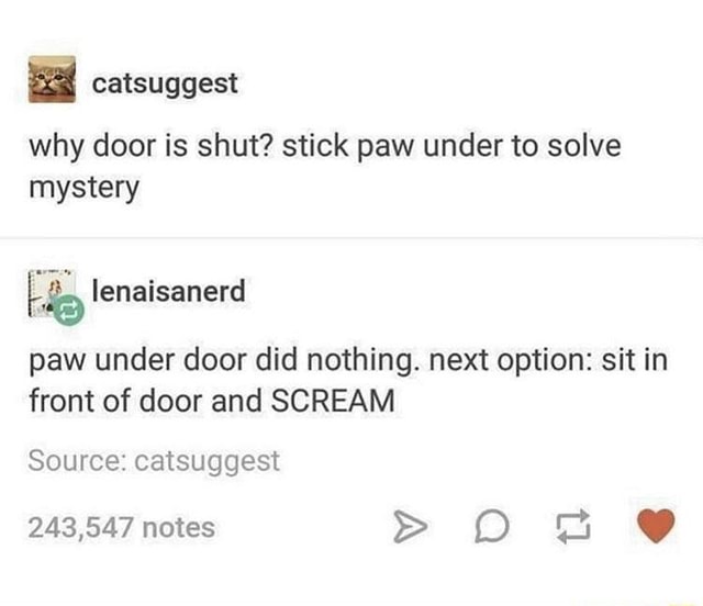 E] catsuggest why door is shut? stick paw under to solve mystery EN ...