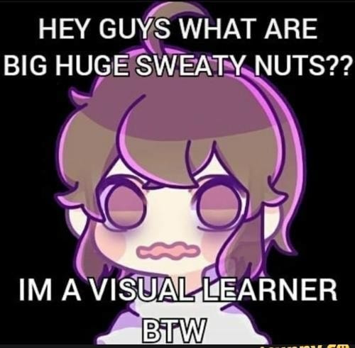 HEY GUYS WHAT ARE BIG HUG: IM A VISUAL LEARNER BTW - iFunny
