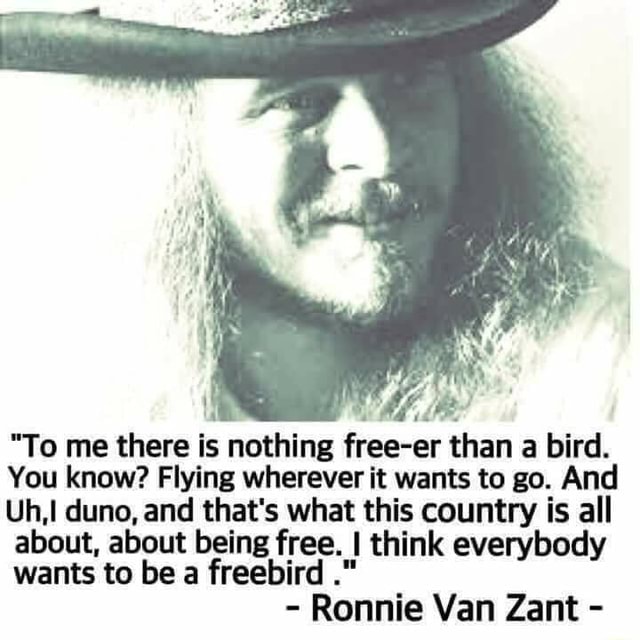 "To me there is nothing freeer than a bird. You know? Flying wherever