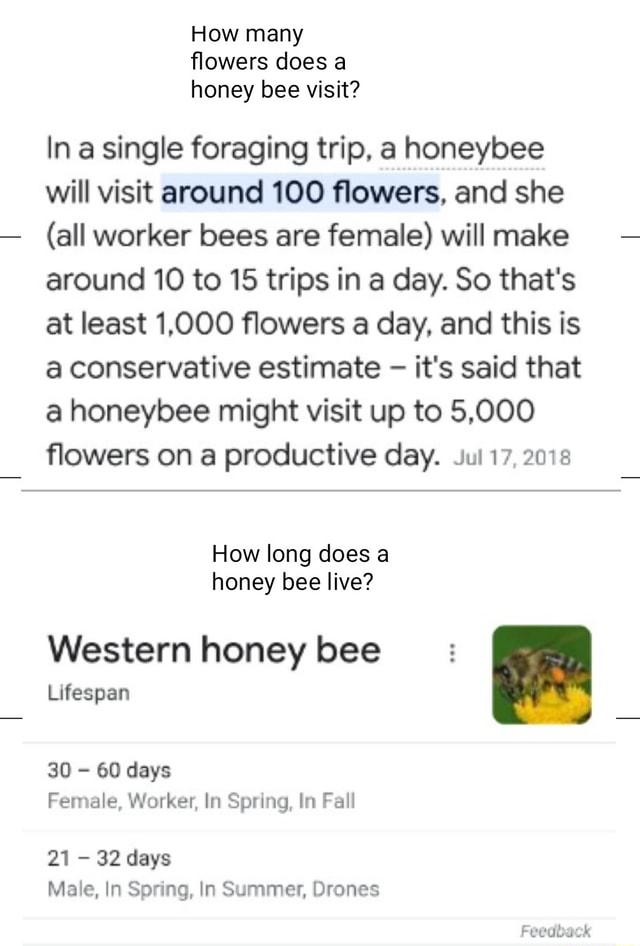 How many flowers does a honey bee visit? In a single foraging trip, a honeybee will visit around