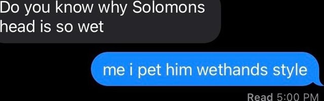 Do you know why Solomons head is so wet me i pet him wethands style
