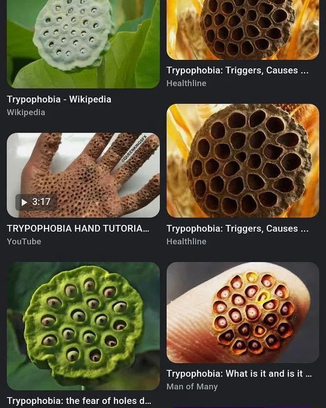 Ye Trypophobia Triggers Causes Healthline Trypophobia Wikipedia 
