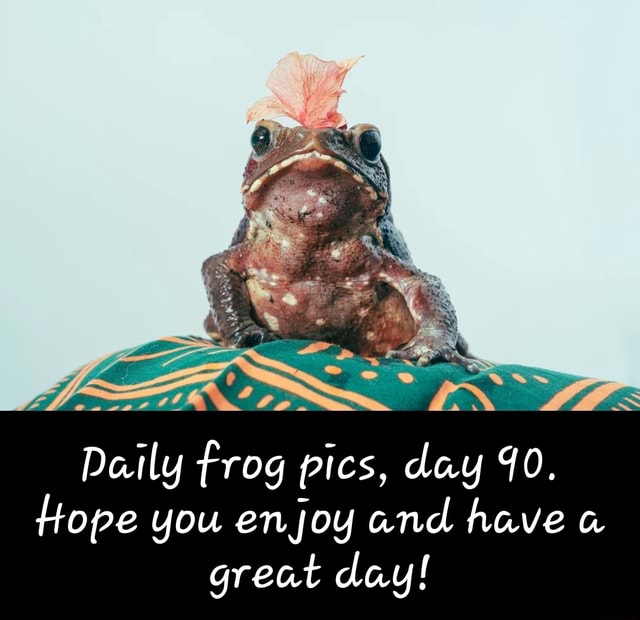 Daily frog pics, day 90. Hope you enjoy and have a great day! - )