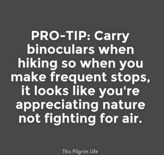 PROTIP Carry binoculars when hiking so when you make frequent stops