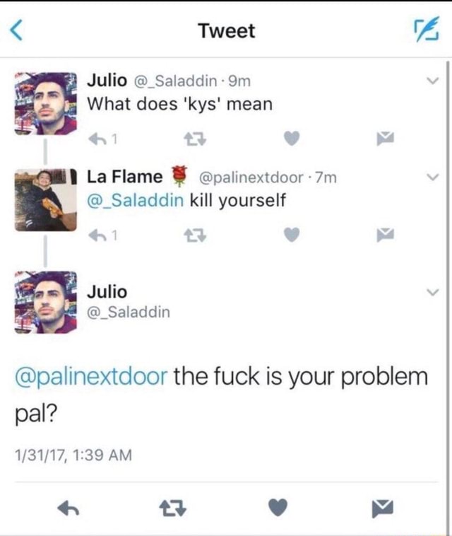 Fuck Is Your Problem Pal What Does Kys Mean C Saladdin Kill Yourself Palinextdoor The