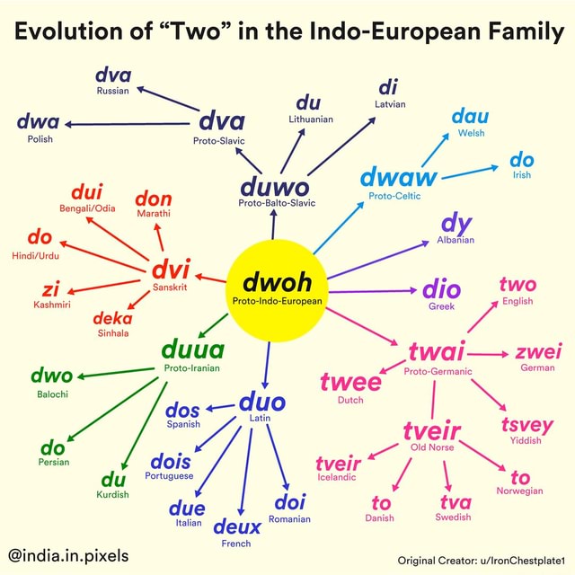 evolution-of-two-in-the-indo-european-family-dva-russian-di-di