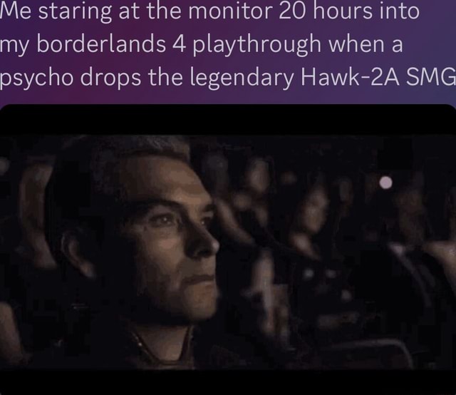 Me staring at the monitor 20 hours into my borderlands 4 