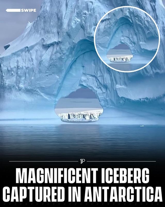Swipe ️ Antarctica, the coldest continent on Earth, is renowned for its ...