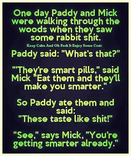 One day Paddy and Mick were walking through the woods when they saw ...