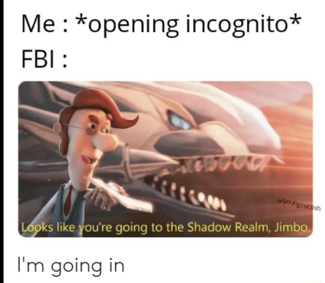 Me Opening Incognito Lepks Like You Re Going To The Shadow Realm Jimbo