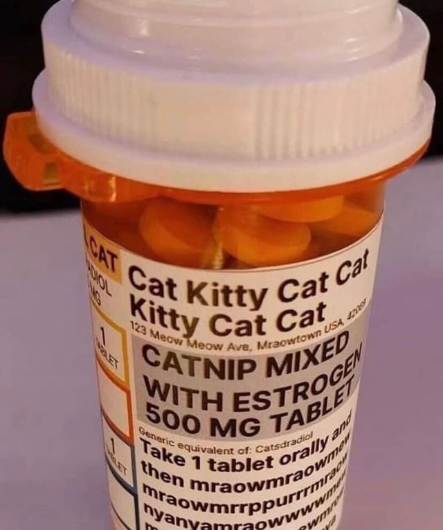 Cat kitty cat Kite tty Cat CaTNip MX/) Wi ROG equivalent of cats af