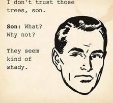 Trees, son. Son: what? Why not? They seem kind of shady. - iFunny