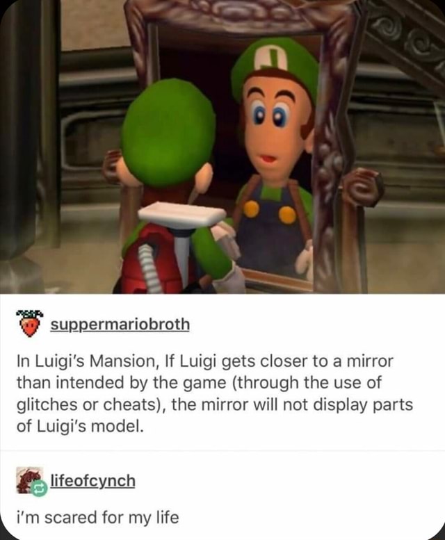 In Luigi's Mansion, If Luigi gets closer to a mirror than intended by ...