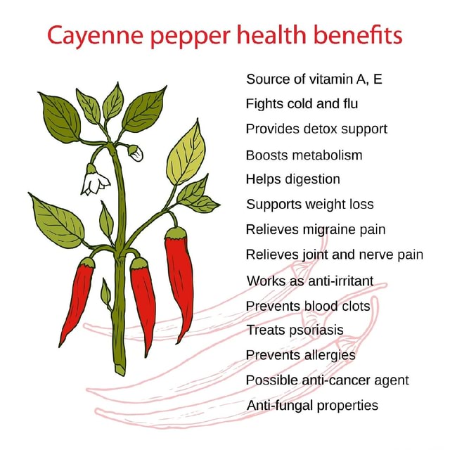 Cayenne pepper health benefits Source of vitamin A, E Fights cold and