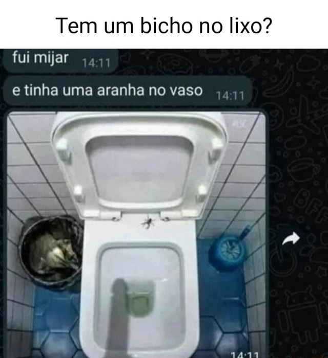 Tem Um Bicho No Lixo Fui Mijar E Tinha Uma Aranha No Vaso Ifunny Brazil