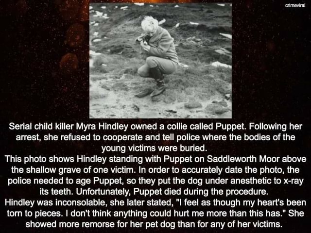 Serial child killer Myra Hindley owned a collie called Puppet ...