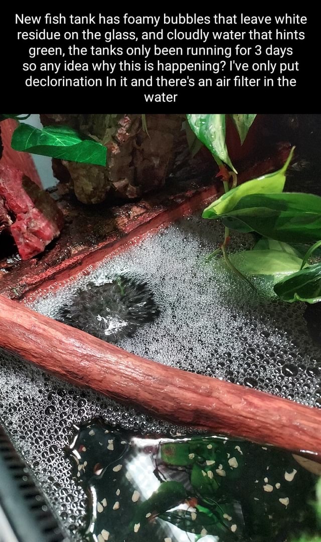 New fish tank has foamy bubbles that leave white residue on the glass