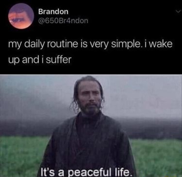 My daily routine is very simple. i wake up and i suffer It's a peaceful ...
