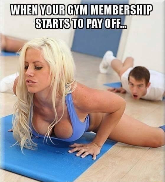 Funny Gym Porn - WHEN YOUR GYM MEMBERSHIP 'STARTS TO PAY OFF... - iFunny