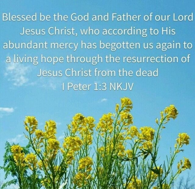 blessed-be-the-god-and-father-of-our-lord-jesus-christ-who-according