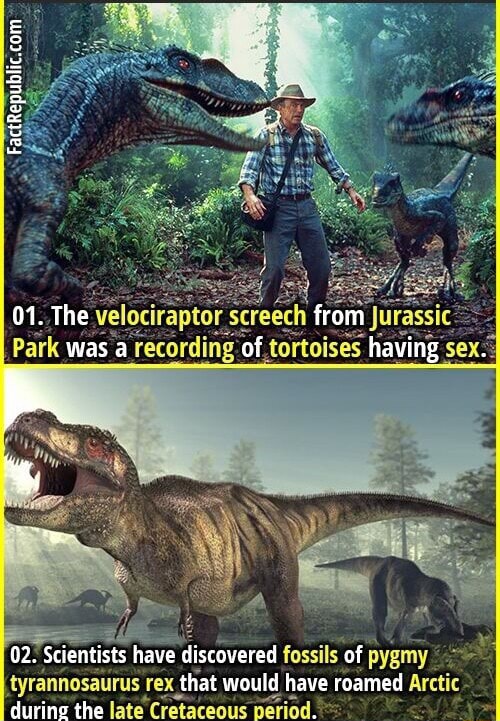 Secret of 'Jurassic Park' raptor sounds? Tortoise sex - CNET