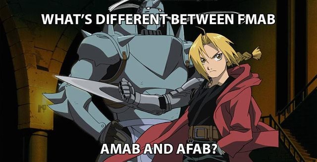 Full Metal Alchemist - WHAT'S DIFFERENT BETWEEN FMAB AMAB AND AFAB