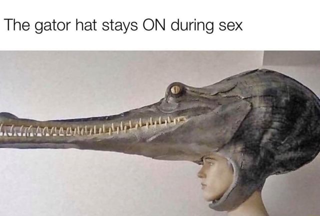 The Gator Hat Stays On During Sex Ifunny