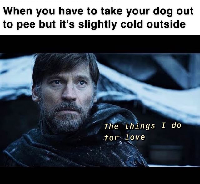 When you have to take your dog out to pee but it's slightly cold