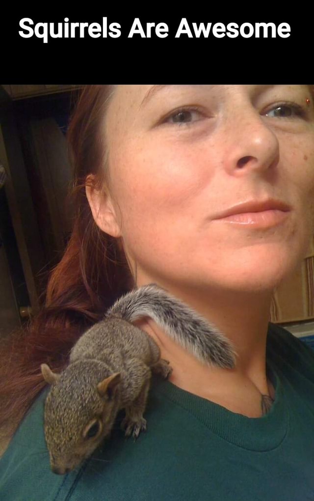 Squirrels Are Awesome America’s best pics and videos