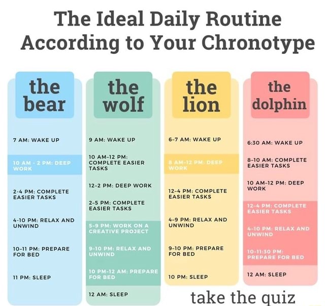 Crafting Your Ideal Daily Routine: A Comprehensive Guide to Productivity and Well-being