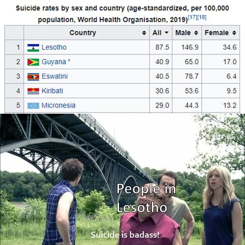 Suicide Rates By Sex And Country Age Standardized Per 100000