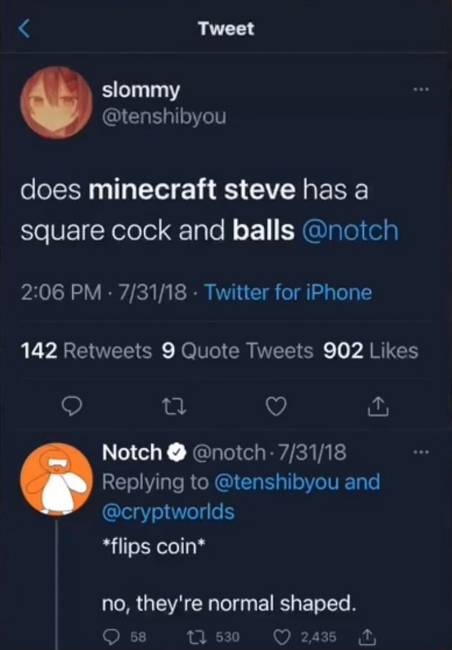Tweet Slommy Ie Si Byou Does Minecraft Steve Has A Square Cock And Balls Notch 6 Pm Twitter For Iphone 142 Retweets Quote Tweets Kes Notch Notch Replying