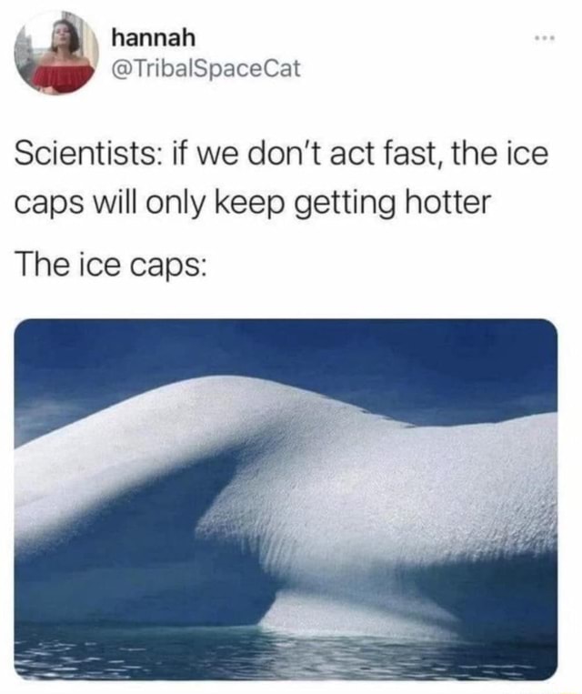 Hannah Scientists: if we don't act fast, the ice caps will only keep ...