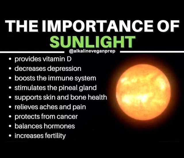 THE IMPORTANCE OF SUNLIGHT alkalineveganprep provides vitamin D decreases depression boosts the