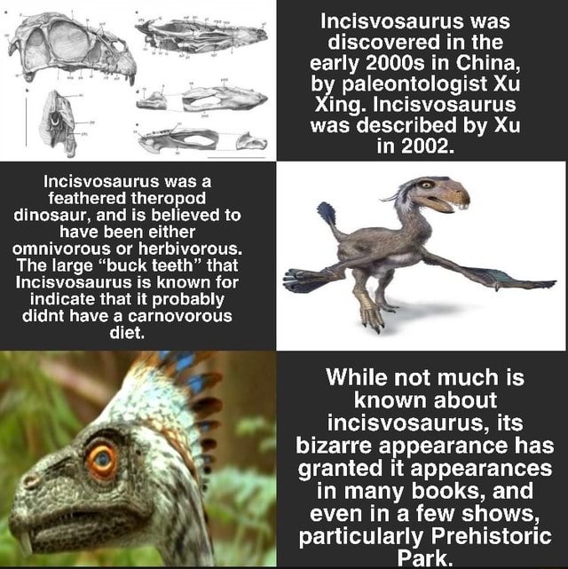 Incisvosaurus was discovered in the early 2000s in China, by ...