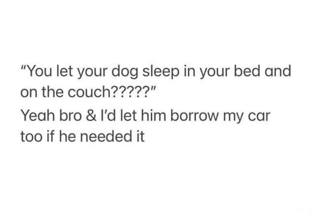 Let Bro Sleep