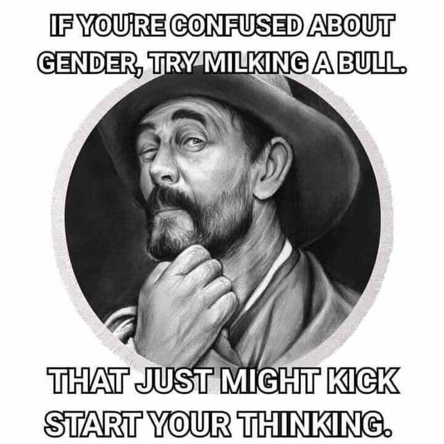 YOURE CONFUSED ABOUT GENDER, BULL, YOUR THINKING iFunny