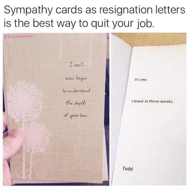 Job Memes Sympathy Cards As Resignation Letters Is The Best Way To Quit Your Job T Can T Even Begin It Sme To Understand Heave In Three Weeks The Depth Of Your Loss Todd