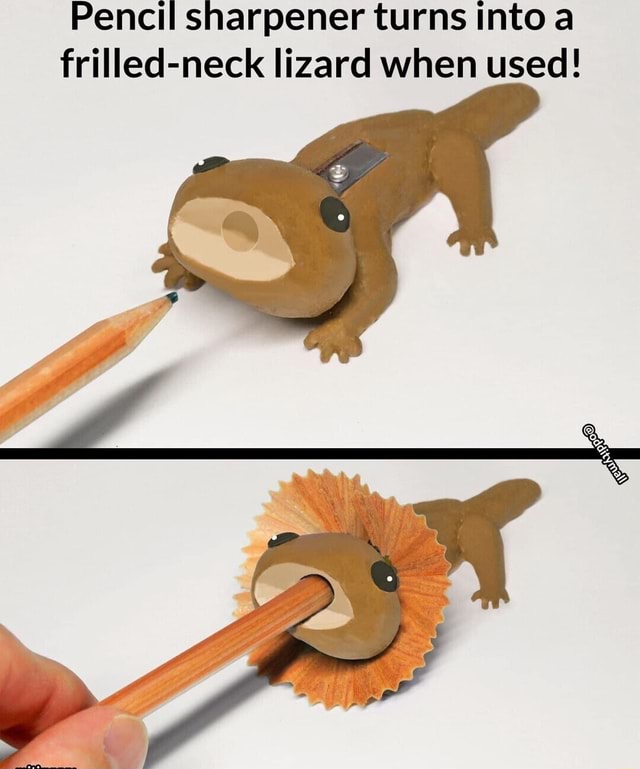 Pencil sharpener turns into a frilled-neck lizard when used! - iFunny