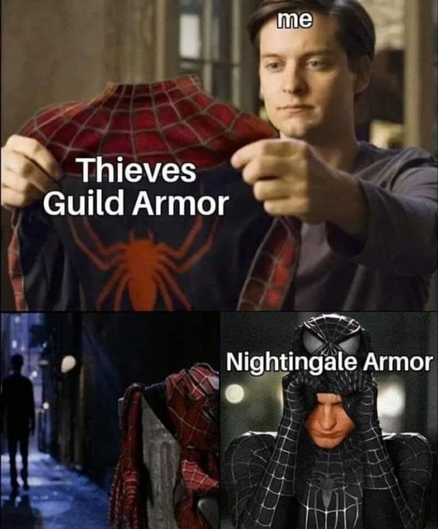 skyrim thieves guild master armor