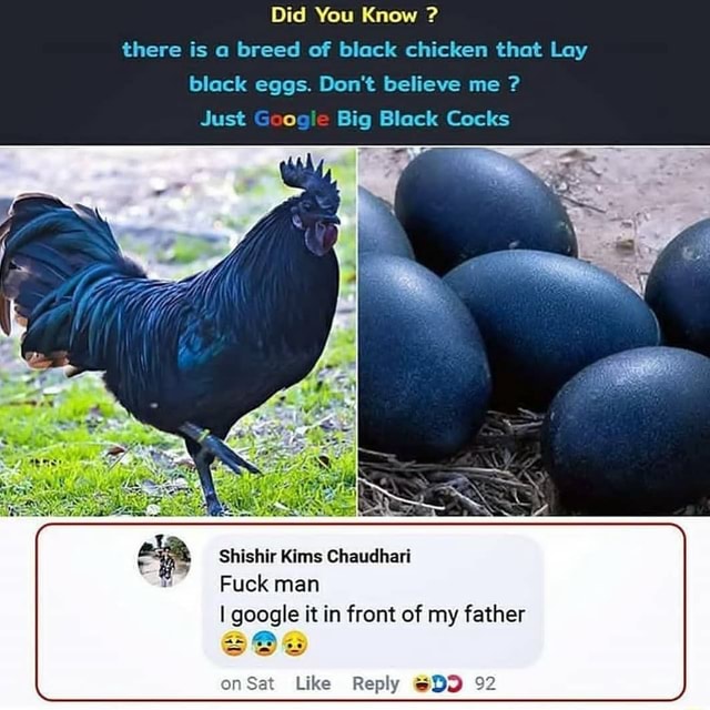 c2ca4185816947a14bb74b1a5d4d9aee029e95b379039cf4340ac92e2dd01ed0_1.jpg