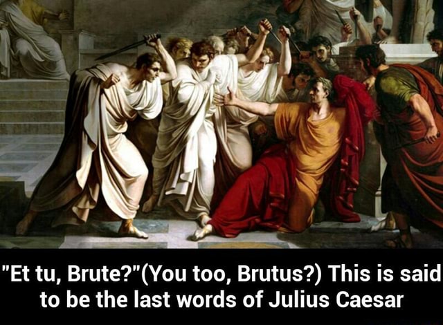 Et Tu Brute You Too Brutus This Is Said To Be The Last Words Of Julius Caesar Et Tu Brute You Too Brutus This Is Said To Be The Last Words Of Julius