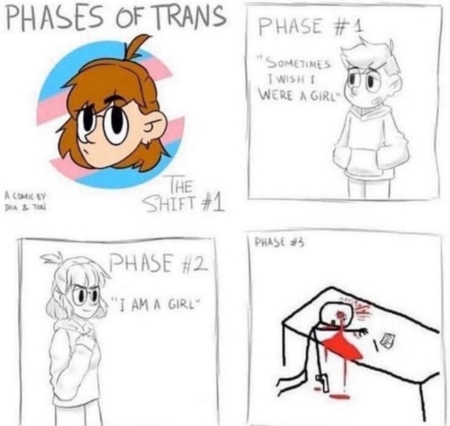 PHASES OF TRANS PHAS E re PHASE 12. - iFunny