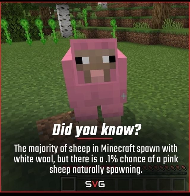 Did you know? The majority of sheep in Minecraft spawn with white wool ...