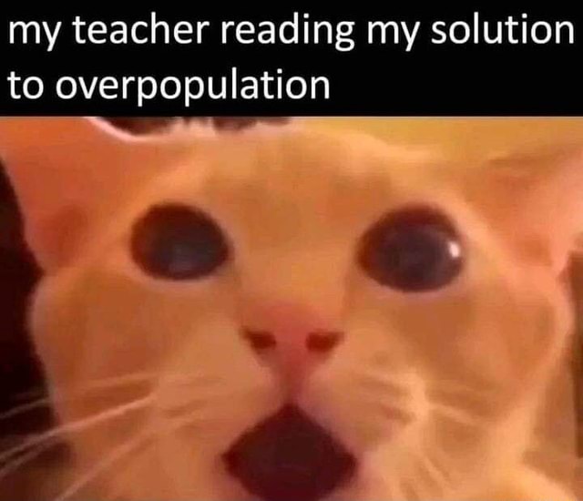 my teacher reading my essay on how to solve overpopulation