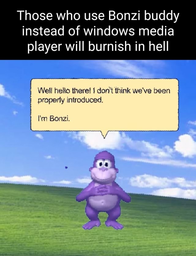 Pokemon Bonzi Buddy 35