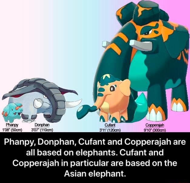 Fun Facts! Phanpy | Pokémon Amino