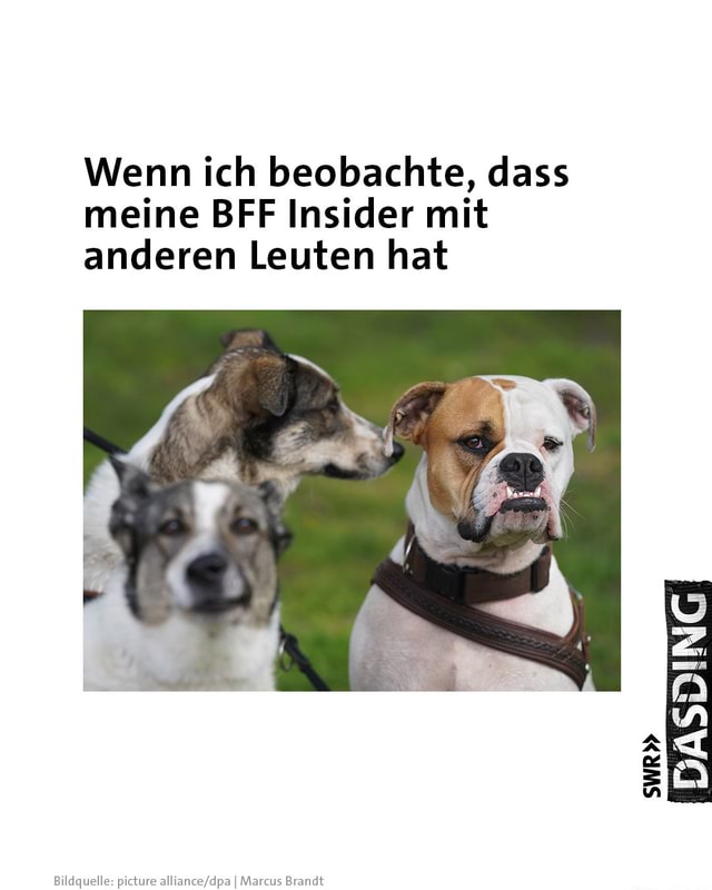 Auch bei Freundschaften kann sich Eifersucht entwickeln. Das ist gar